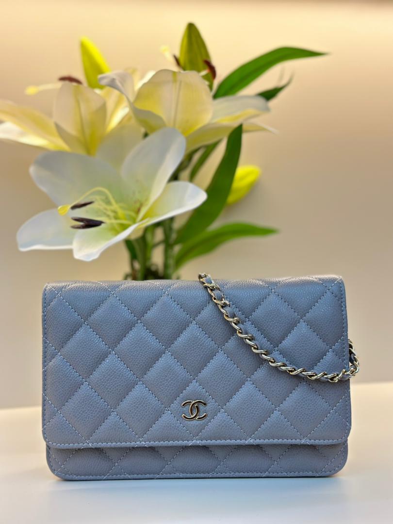 Classic Wallet On Chain