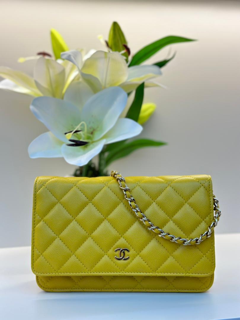 Classic Wallet On Chain